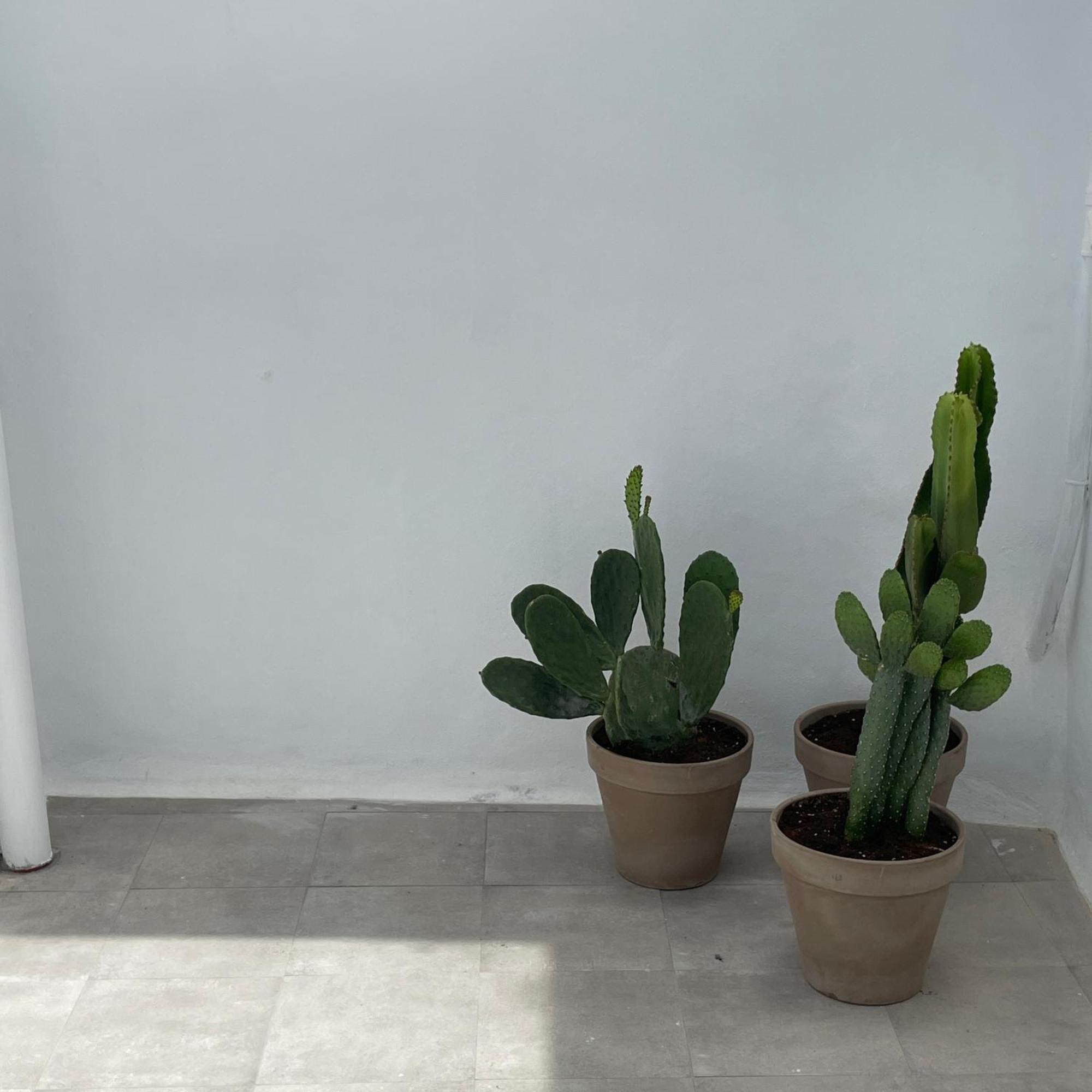 Casa Florinda Tarifa Apartment Екстериор снимка