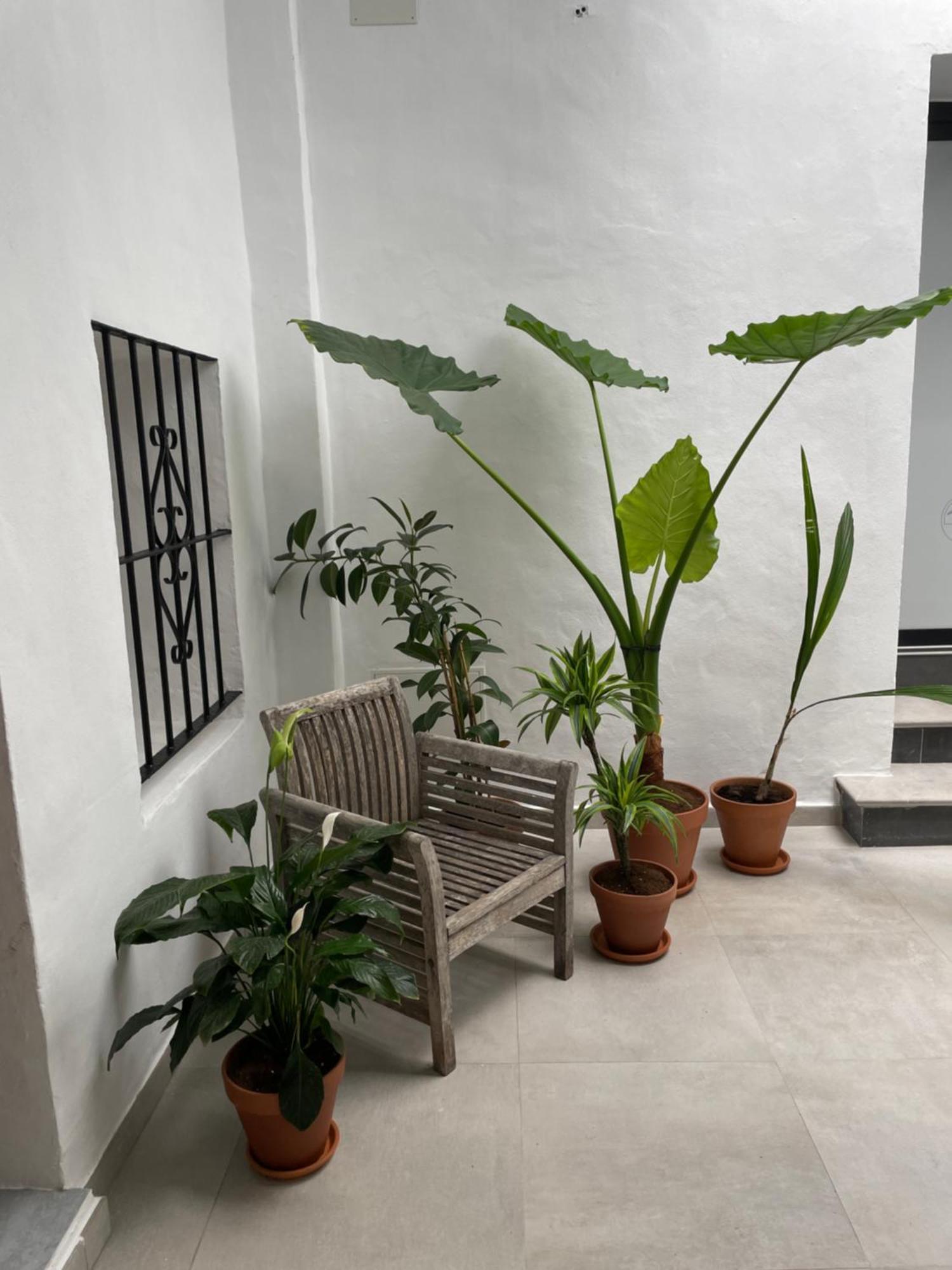 Casa Florinda Tarifa Apartment Екстериор снимка